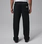Штаны мужские Air Jordan Brk Vt Oh Pnt Bb Black IO9825-010