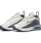 Кроссовки женские Nike Air Max 2090 White Ct1290-101