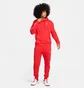 Спортивный костюм мужской Nike Spe Flc Trk Red FB7296-657