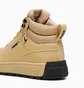 Кроссовки мужские Puma Tarrenz Sb Iii Puretex Beige 393930-02