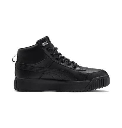 Кросівки чоловічі Puma Tarrenz SB Puretex Black 370552-01