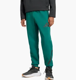 Штаны мужские Adidas Z.N.E. Tracksuit Bottoms Green JF6387