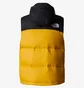 Жилетка мужская The North Face 1996 Retro Nuptse Yellow/Black NF0A3JQQZU3-M