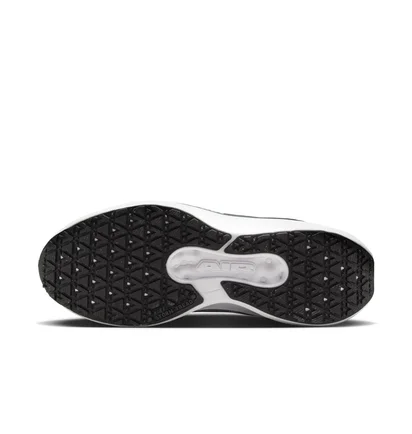 Кроссовки женские Nike Winflo 11 Gore Tex White/Grey FQ1359-004