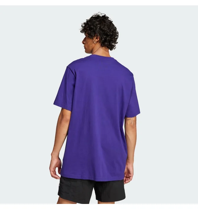 ᐉ Футболка мужская Adidas Skeleton Tr Tee Violet JJ0666 - купить