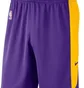 Шорти чоловічі Nike Lal Mnk Df Short Pract 18 Violet/Yellow Aj5077-504