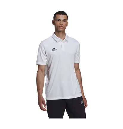 Поло мужское Adidas Wit Entrada 22 Poloshirt White HC5067