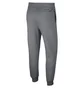 Штаны мужские Air Jordan Jumpman Fleece Pant Grey 940172-091