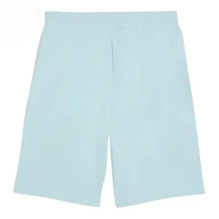 Шорти чоловічі Puma Essentials Turquoise 684715-48