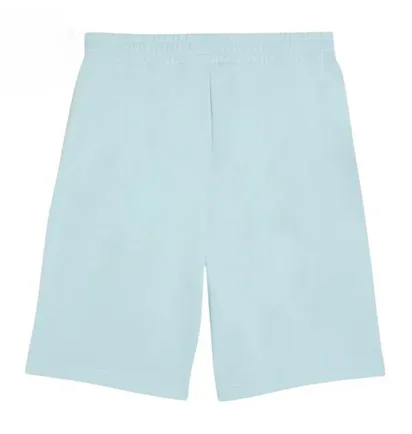 Шорти чоловічі Puma Essentials Turquoise 684715-48