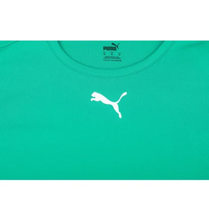 Футболка мужская Puma Teamrise Jersey Green 704932-05