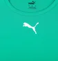 Футболка мужская Puma Teamrise Jersey Green 704932-05