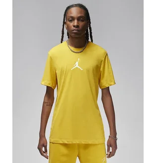 Футболка мужская Air Jordan T-Shirt Jumpman Yellow CW5190-752