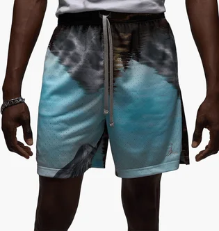 Шорти чоловічі Air Jordan Sprt Mesh Blue HQ8782-009