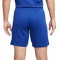 Шорты мужские Nike Shorts Cfc M Nk Df Stad Short Hm 2023/24 Blue DX2706-495
