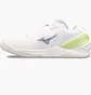 Кросівки жіночі Mizuno Wave Stealth Neo Beige X1GB200035