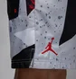 Шорты мужские Air Jordan Essentials MenS 5 Poolside Shorts Grey IB8818-011
