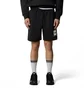 Шорты мужские The North Face Box Nse Regular Black NF0A8C1JKY4