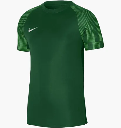 Футболка мужская Nike Jersey Dri-Fit Academy Green DH8031-302