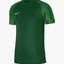Футболка мужская Nike Jersey Dri-Fit Academy Green DH8031-302