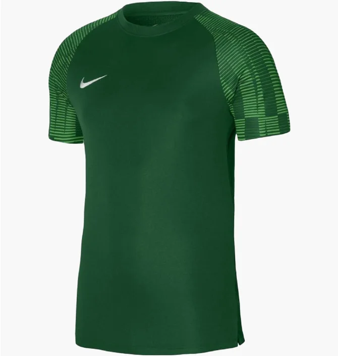 Футболка мужская Nike Jersey Dri-Fit Academy Green DH8031-302