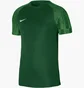 Футболка мужская Nike Jersey Dri-Fit Academy Green DH8031-302