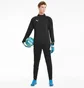 Кофта мужская Puma Teamliga Black 657236-03