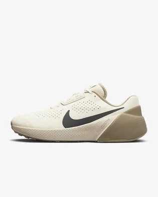 Кросівки чоловічі Nike Air Zoom Tr 1 Beige DX9016-006