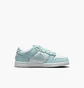 Кроссовки детские Nike Dunk Low (Tde) White/Light Blue FB9108-105