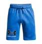 Шорты мужские Under Armour Rival Flc Graphic Short Blue 1370350-474