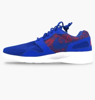 Кроссовки мужские Nike Kaishi Blue 705450-446