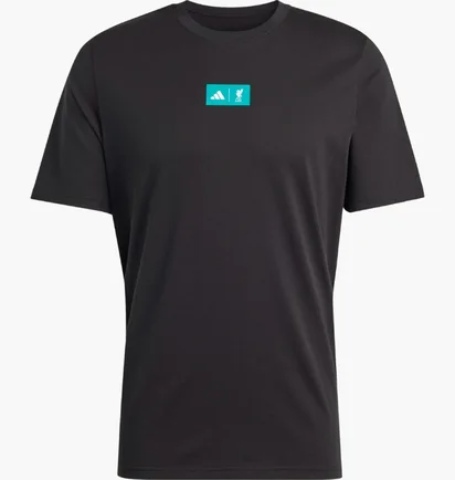 Футболка мужская Adidas Lfc Szn Gr Black JW7903