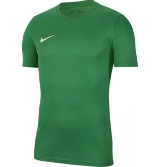 Футболка мужская Nike Dry Park Vii Jsy Ss Green Bv6708-302