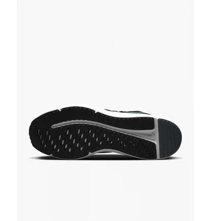Кроссовки мужские Nike Downshifter 12 Black Dd9293-010