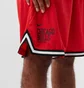 Шорти чоловічі Nike Chicago Bulls Red DB1795-657