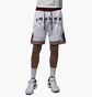Шорты мужские Air Jordan Dri-Fit Sport White FD5957-100