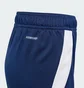 Шорты детские Adidas Tiro 24 Blue IR9369