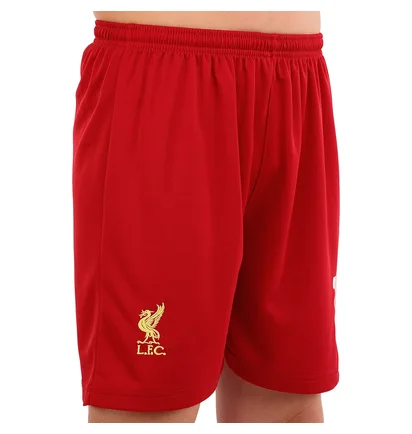 Футбольна форма дитяча SP-sport Liverpool Salah 11 2025 Red CO-4618
