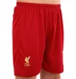 Футбольна форма дитяча SP-sport Liverpool Salah 11 2025 Red CO-4618