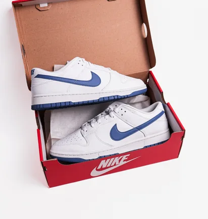 Кросівки чоловічі Nike Dunk Low Retro White DV0831-104