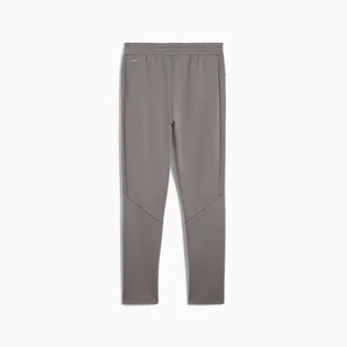 Штаны мужские Puma Evostripe Pants Grey 684614-79