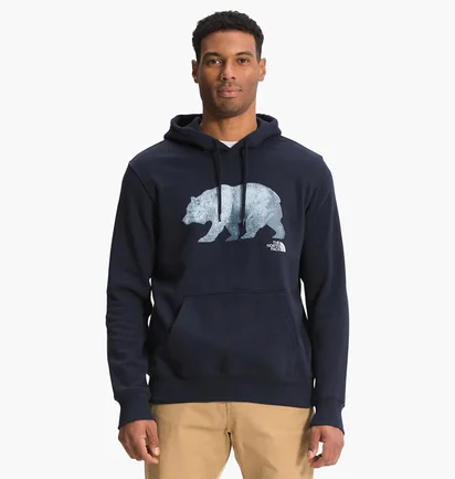 Худи мужское The North Face Bear Pullover Hoodie Blue Nf0A532Arg1
