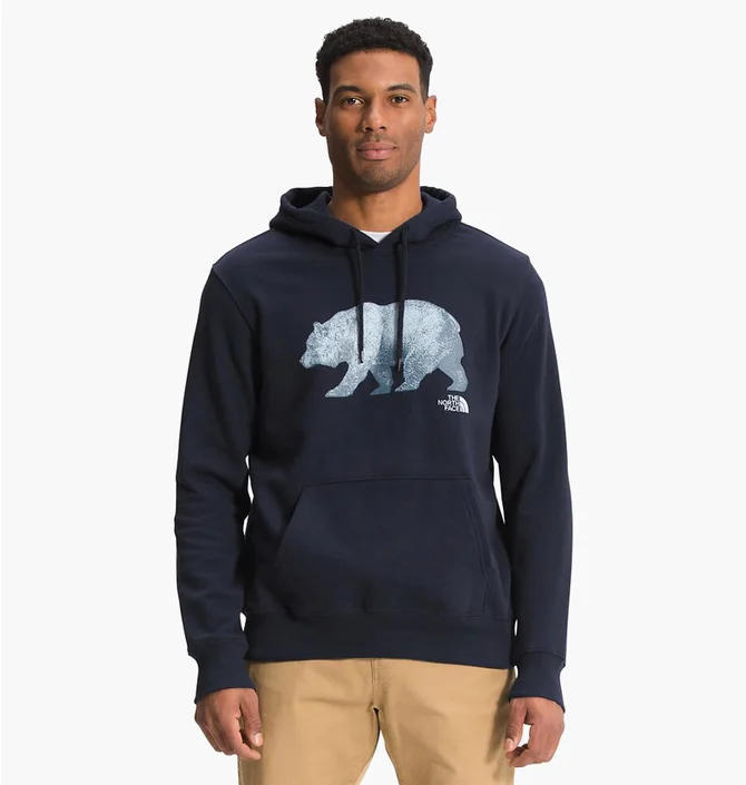 Худи мужское The North Face Bear Pullover Hoodie Blue Nf0A532Arg1