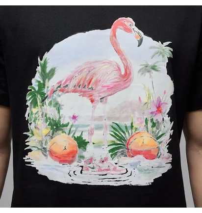 Футболка мужская Air Jordan Ess Flamingo Ss Crew Black HJ2399-010