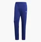 Штаны мужские Adidas Sport Id Blue CW7473