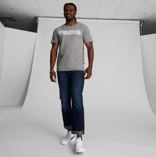 Футболка чоловіча Puma Graphic Tee Grey 678786-03