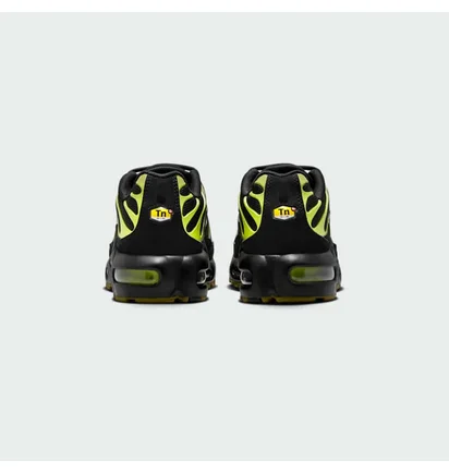 Кроссовки мужские Nike Air Max Plus Tn Gs Black/Green CD0609-028