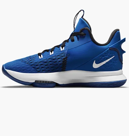 Кроссовки унисекс Nike LEBRON WITNESS V Blue CQ9380-400