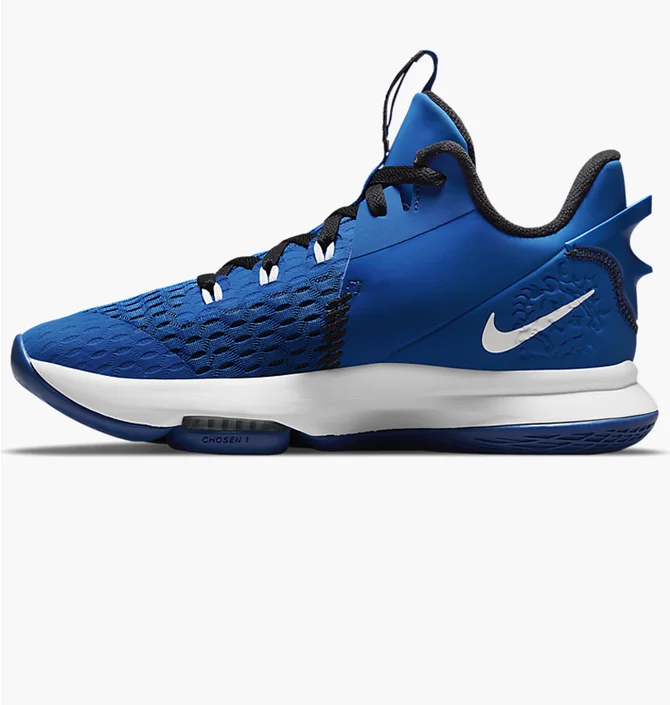 Кроссовки унисекс Nike LEBRON WITNESS V Blue CQ9380-400