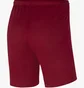 Шорты мужские Nike Park Iii Red Bv6855-677